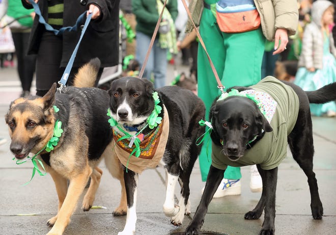 The 29th. Annual St. Patrick's Day Parade in downtown Bremerton on Saturday, March 11, 2023.