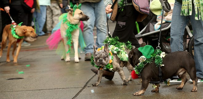 The 29th. Annual St. Patrick's Day Parade in downtown Bremerton on Saturday, March 11, 2023.